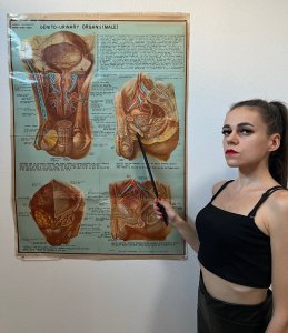 Верхняя Леди, 79088289604