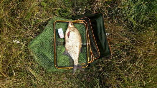 Массажистка, 79680000000